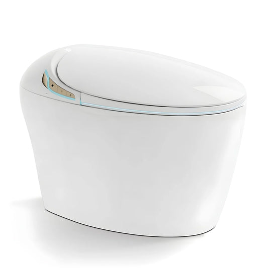 smart toilet