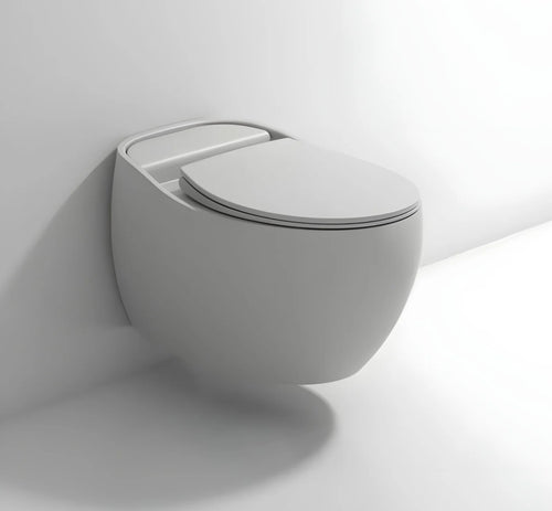 color wall hung toilet (2)
