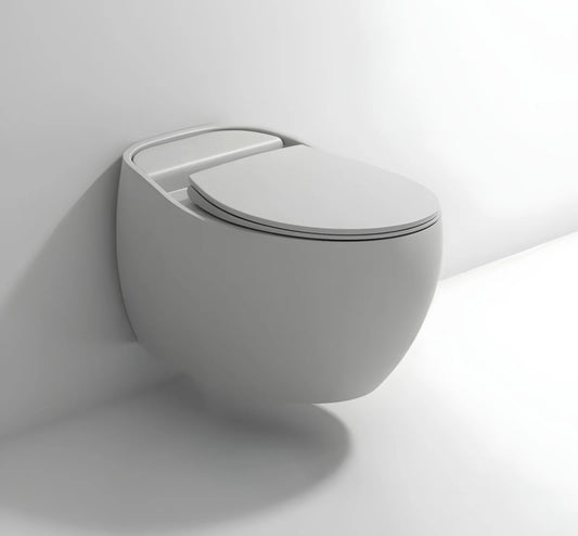 color wall hung toilet (2)