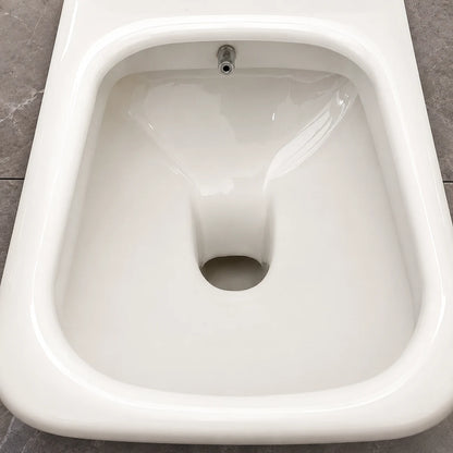 Wall Mounted WC with Inbuilt Jet - ROZY PRO