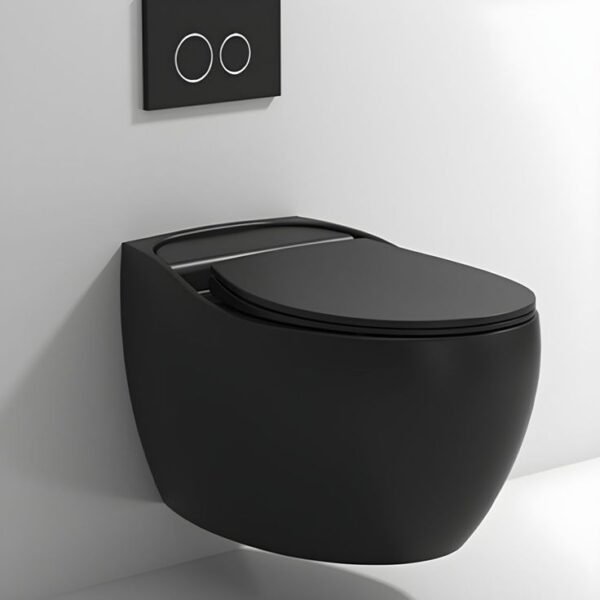 Wall Hung Closet Moon Series | WG777 | Black |