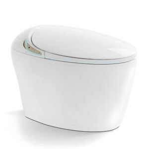 smart toilet