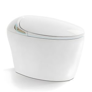 smart toilet